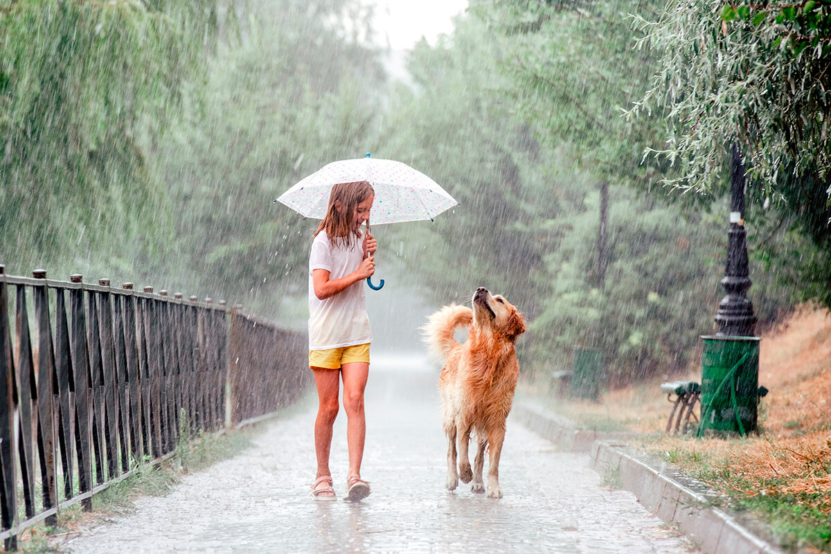    Фото: Tatyana Vyc / Shutterstock.com