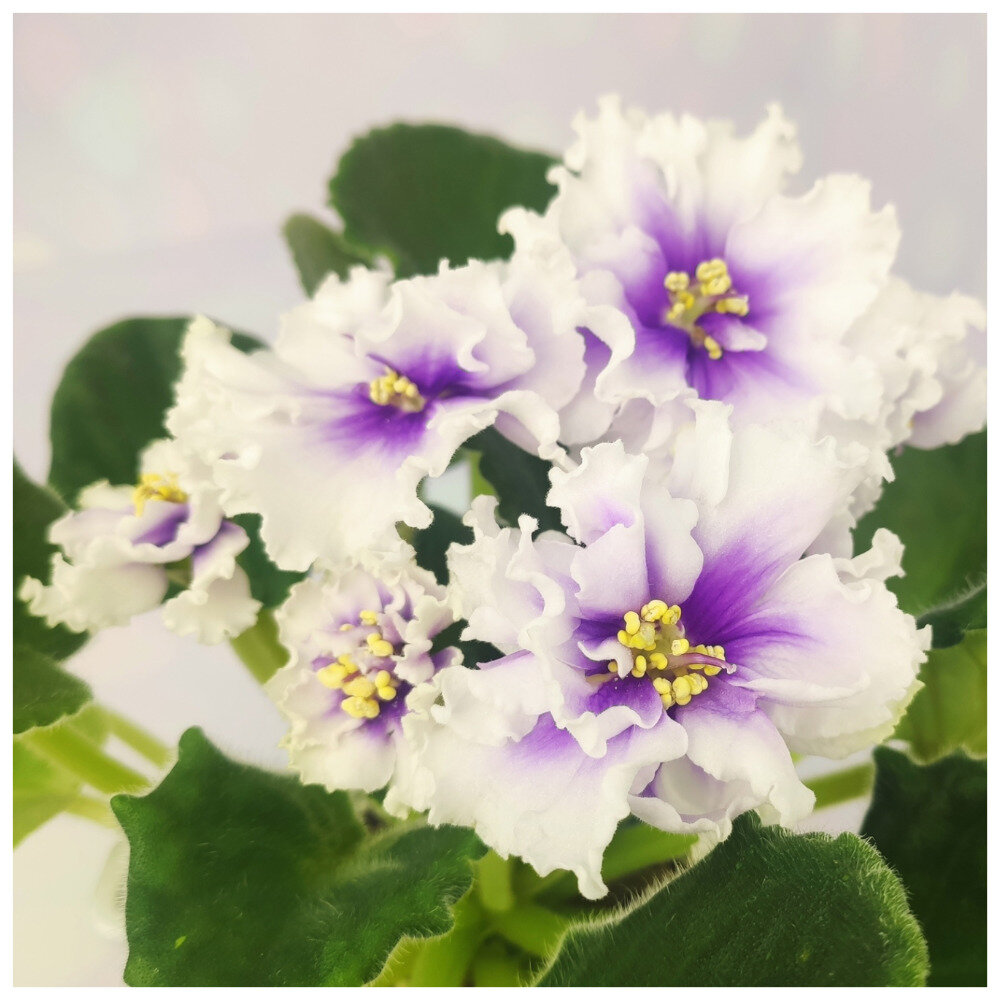 KZ-Горный Ручеёк