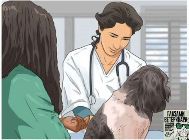 Посетите ветеринарного офтальмолога