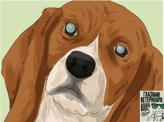 Знайте основные признаки развития катаракты