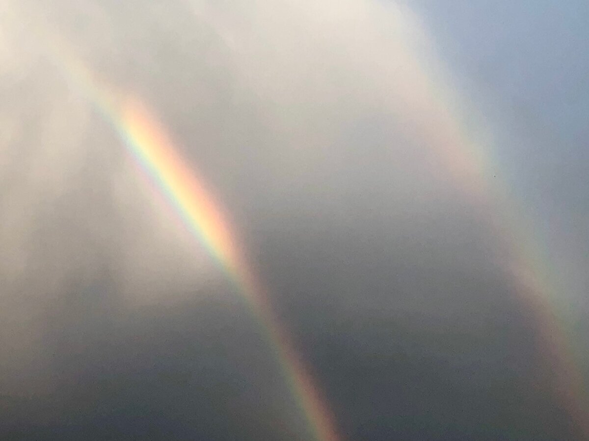 Радуга в Москве. Фото Елены Стоун 01 июня 2024г.