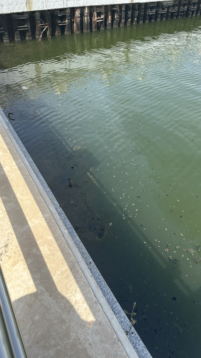 Странные загрязнения на набережной г. Баку