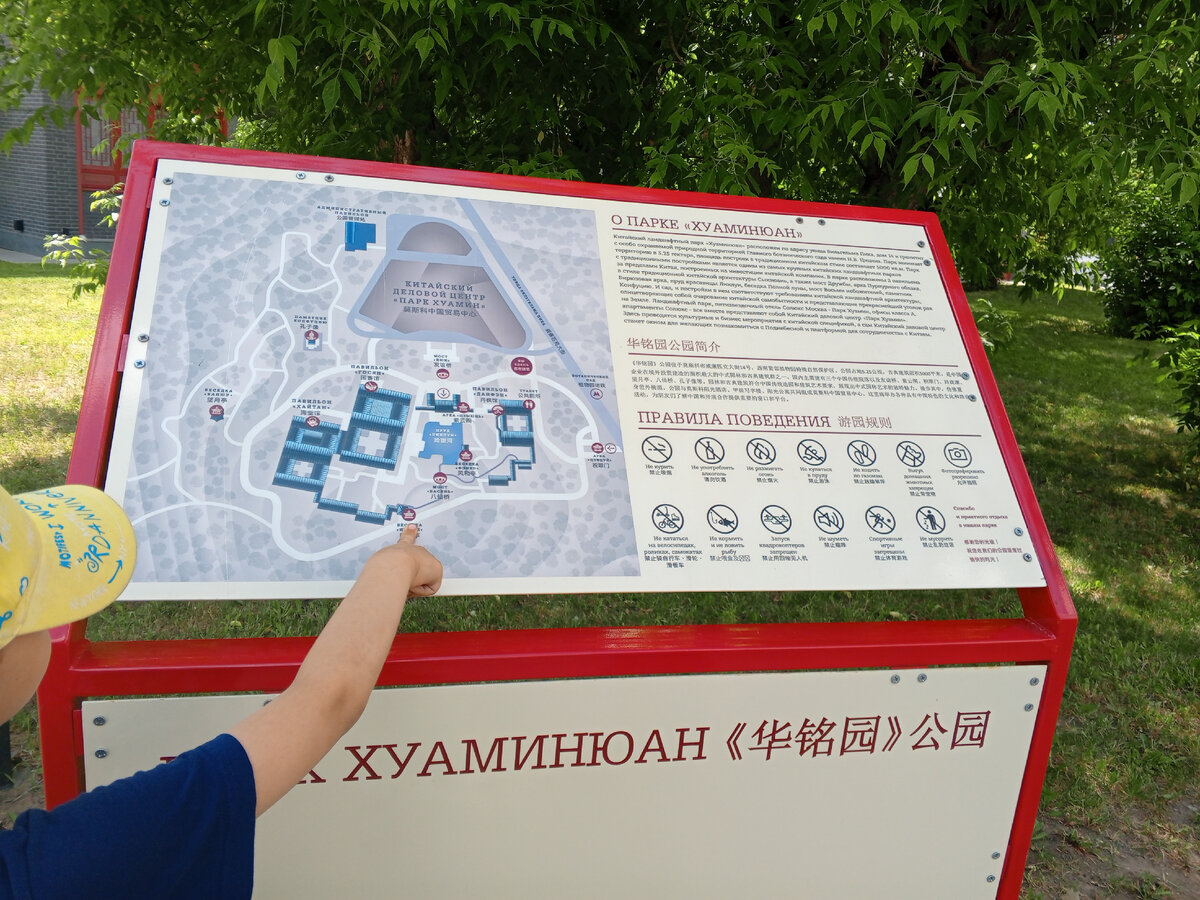 Внук уверенно указал пальцем, куда идти)