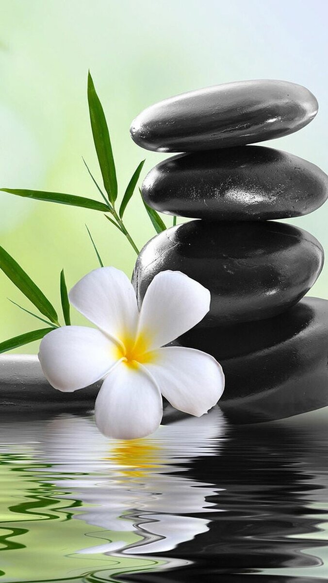 Дзен - ловец снов. Фото из интернета 