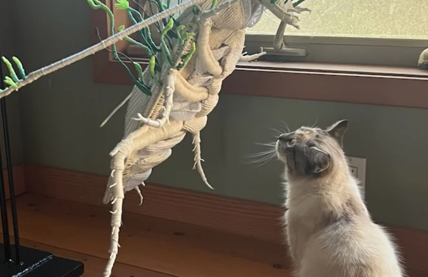 Ее помощница