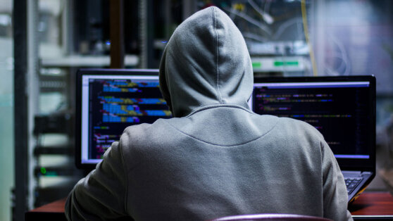    Хакеры атаковали одну из крупнейших партий Германии Сергей Бунеев