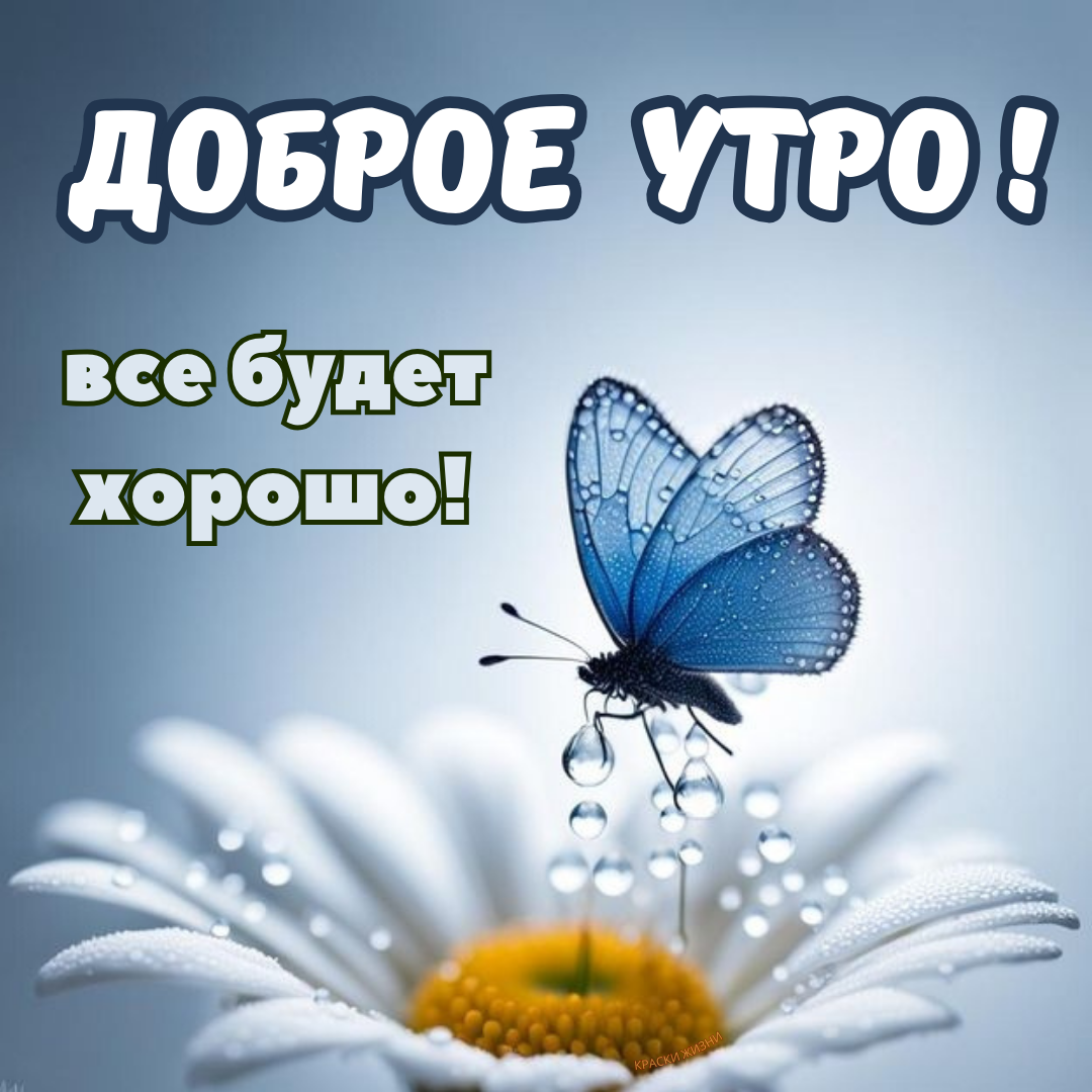 Картинки с добрым утром краски жизни