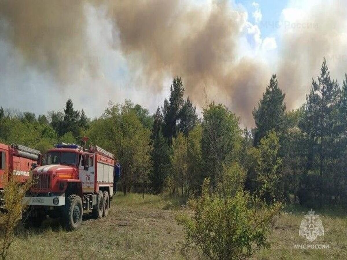    Лесной пожар в Ростовской области© МЧС РФ Главное управление по Ростовской области