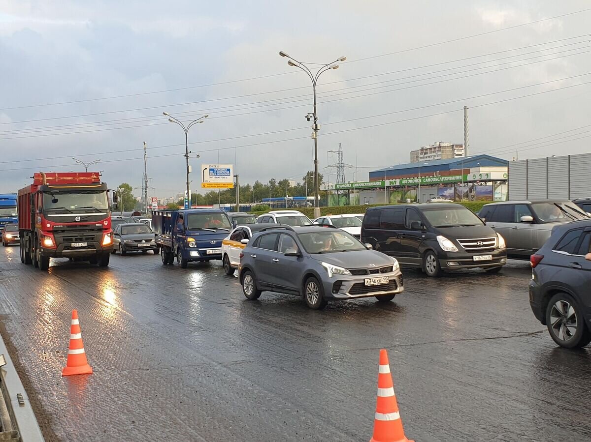    Авария с участием лося на МКАД в районе шоссе Энтузиастов, 2023 год © АГН "Москва" / Мобильный репортер