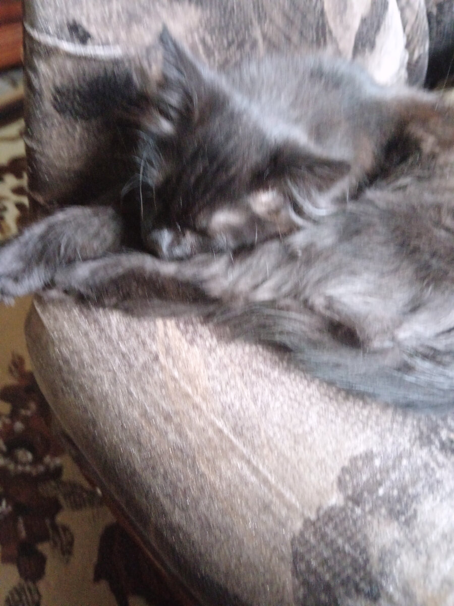 Редкие минутки тишины 