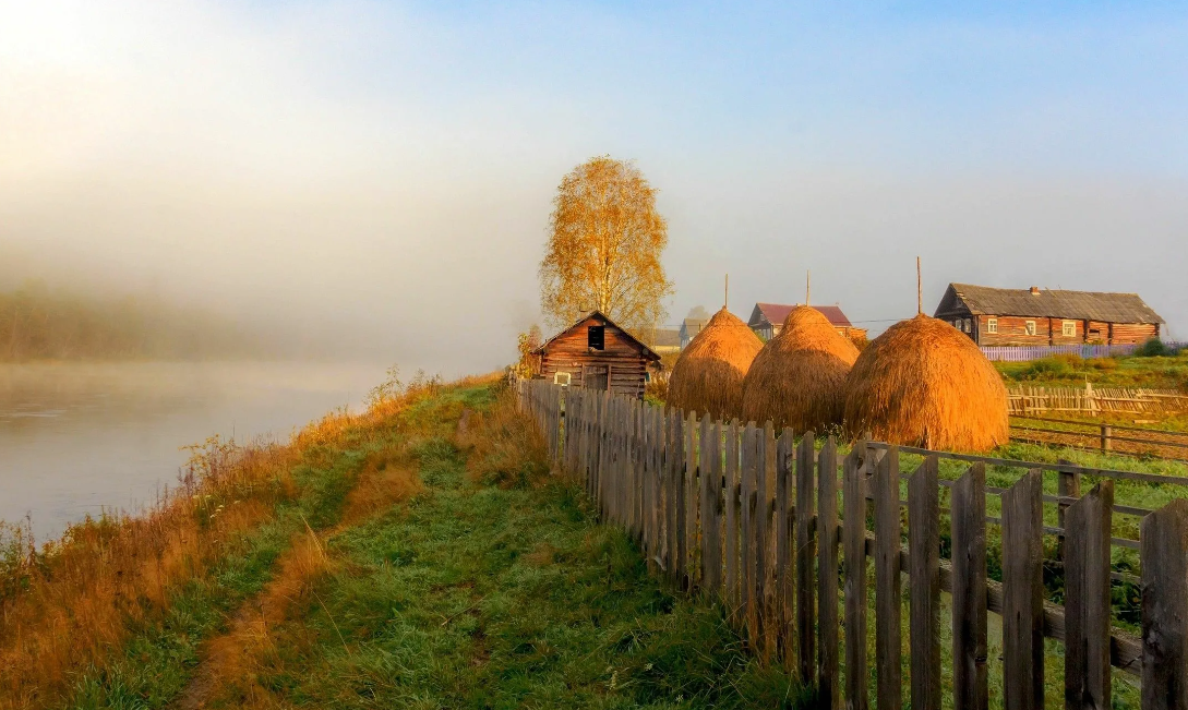 Яндекс картинки