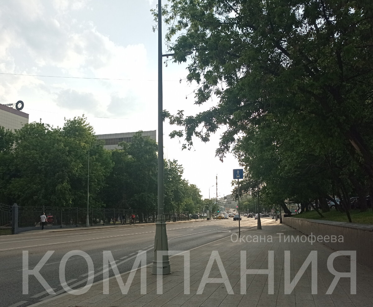 Сборник "Компания" Оксана Тимофеева