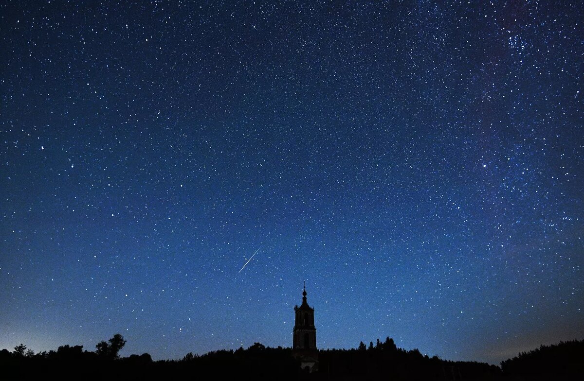 © Sputnik / Владимир Астапкович