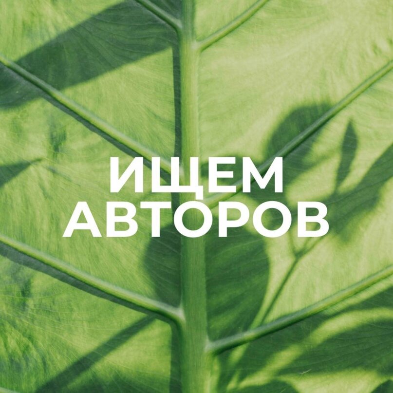 Почему мне не показывают в ленте статьи любимых авторов? ВКонтакте