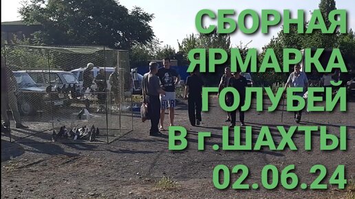 Сборная ярмарка голубей в г.Шахты. Птичий рынок 02.06.24. Николаевские голуби.