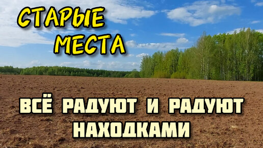 Старые места всё радуют и радуют находками. Коп 2024