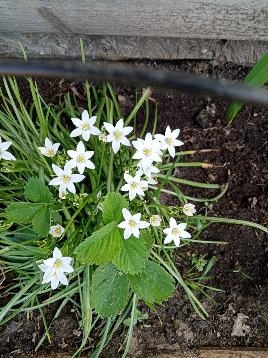 Фото из личного архива.