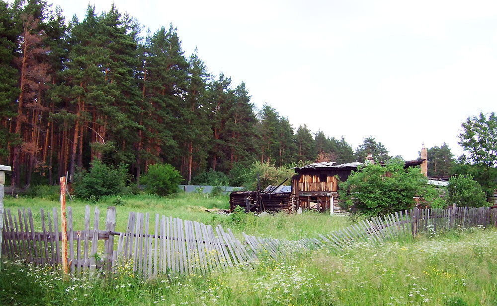 Вот таким "лохматым" участок нам достался.