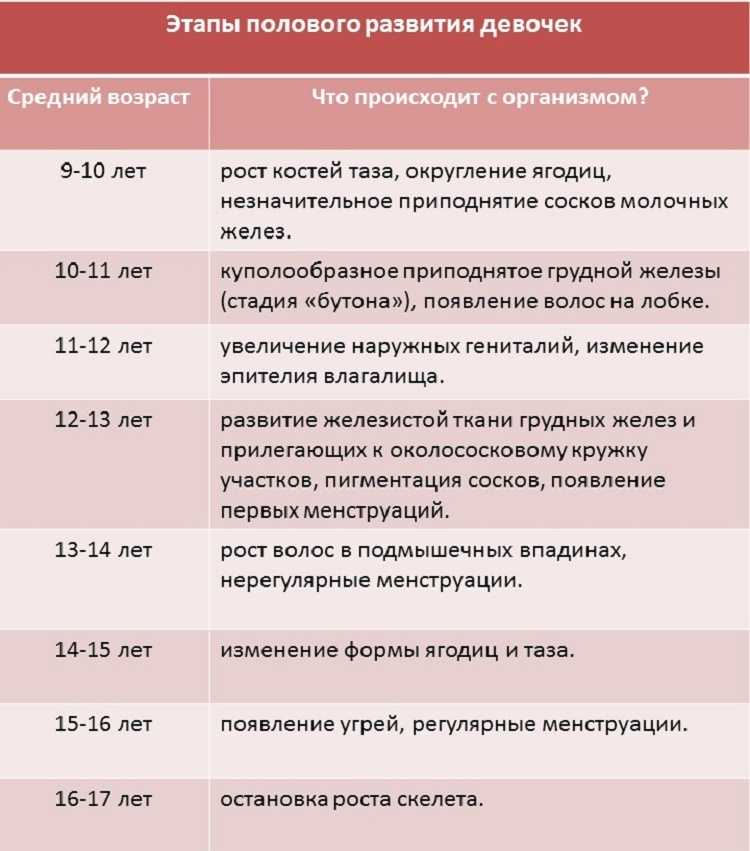 половое созревание девочек 