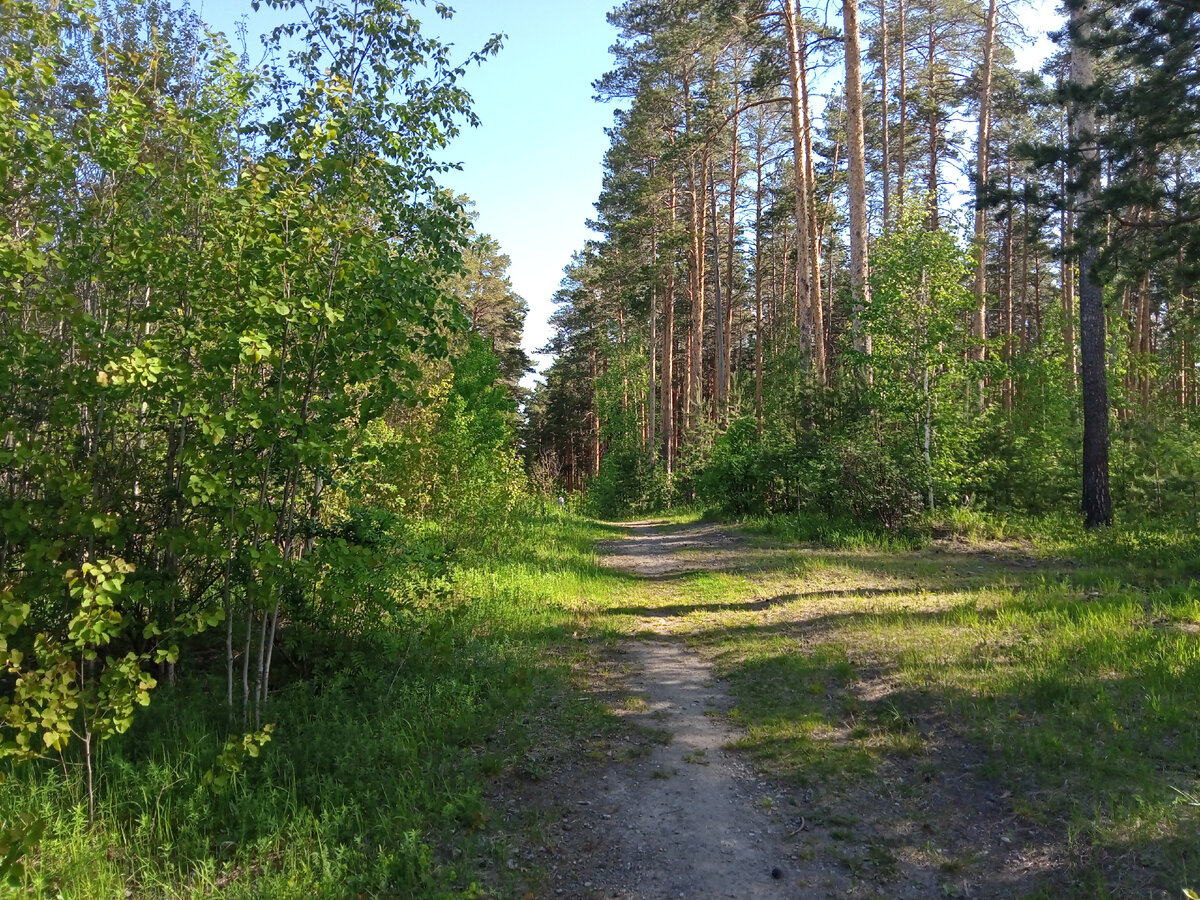 район Лечебный.