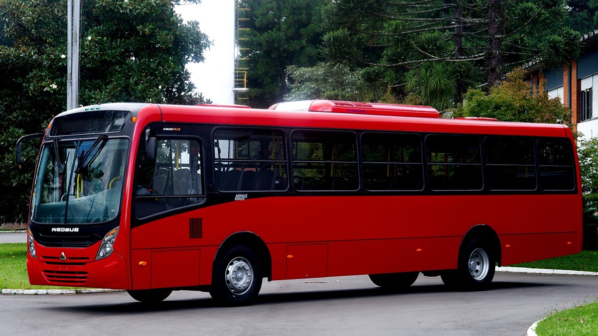 Изображение взято из открытого источника