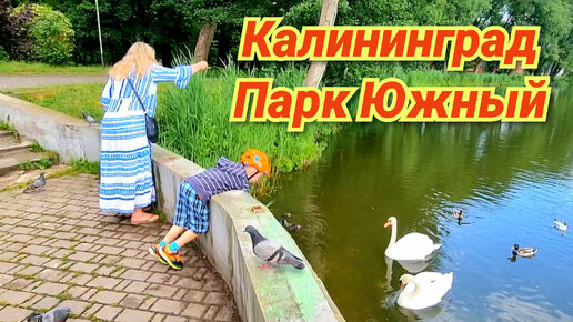 Один счастливый день из жизни Щепоткиных🤗 Парк Южный/ Калининград/ Семейный отдых