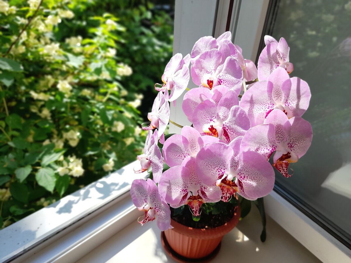 Утро в провинции