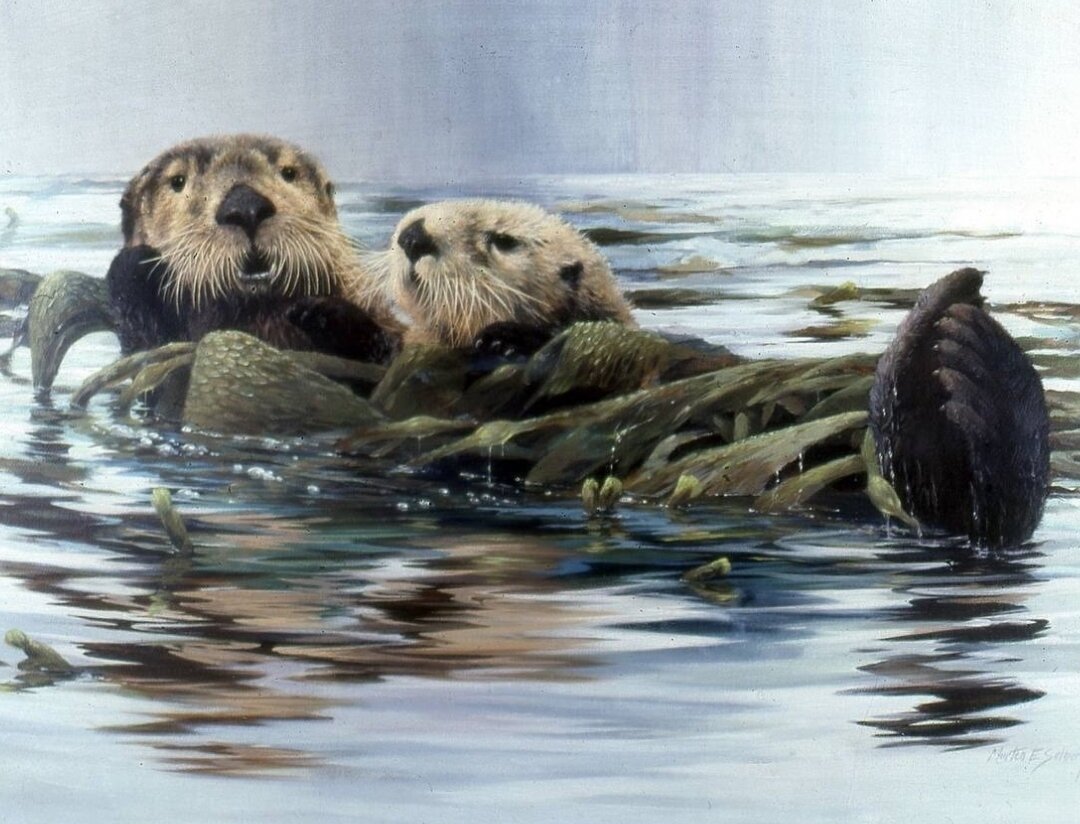 Водные обитатели