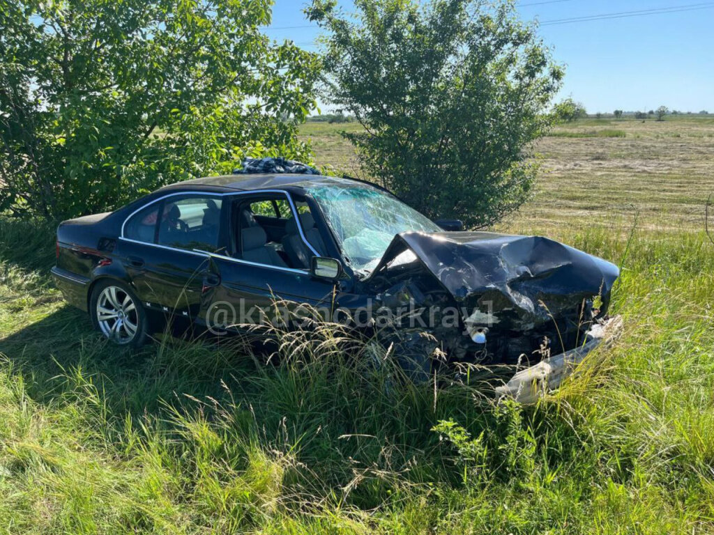 Автомобили сложились гармошкой»: на Кубани на трассе произошло смертельное  ДТП | Утренний Юг | Дзен