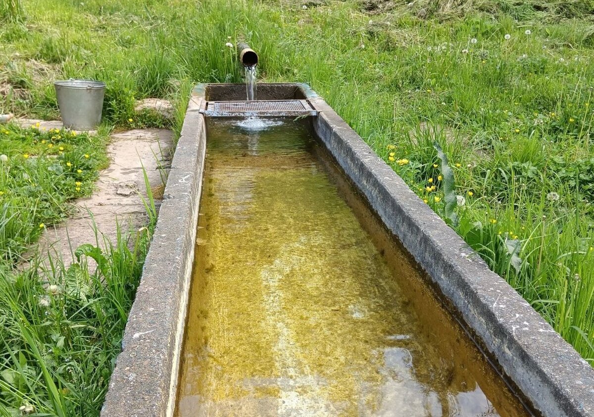 Родник в одной деревне