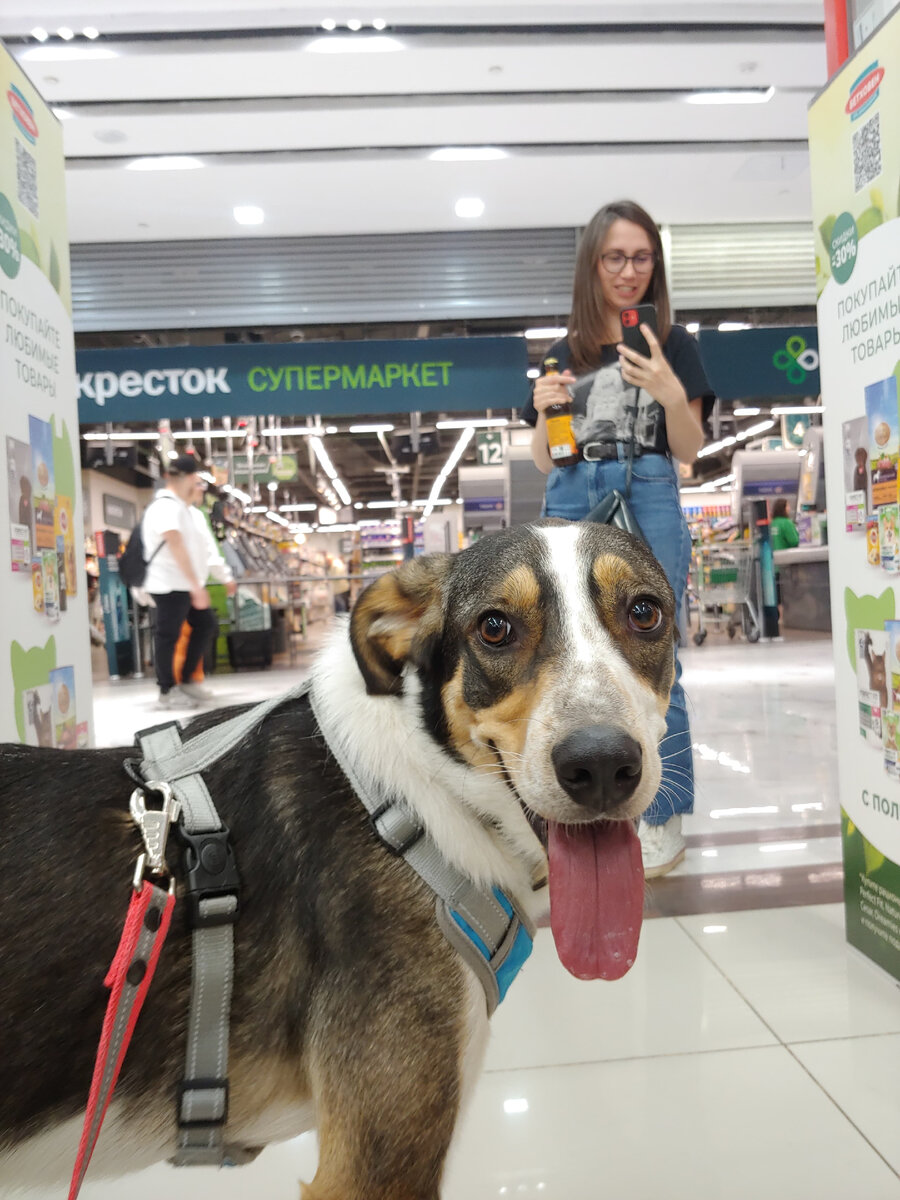 Привет! Меня зовут Джой, а тебя?