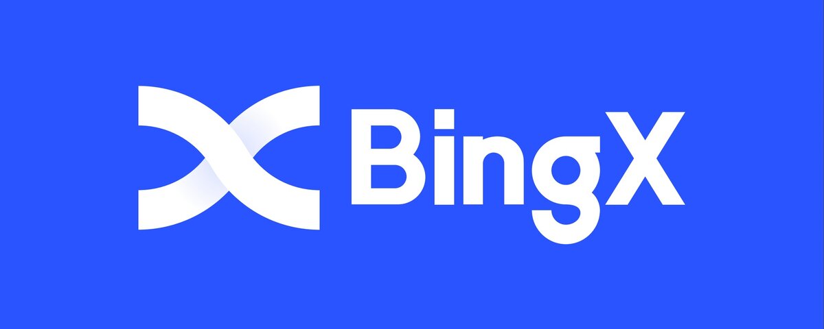 BINGX НА КАКИЕ ЭЛЕКТРОННЫЕ КОШЕЛЬКИ МОЖНО ВЫВОДИТЬ?