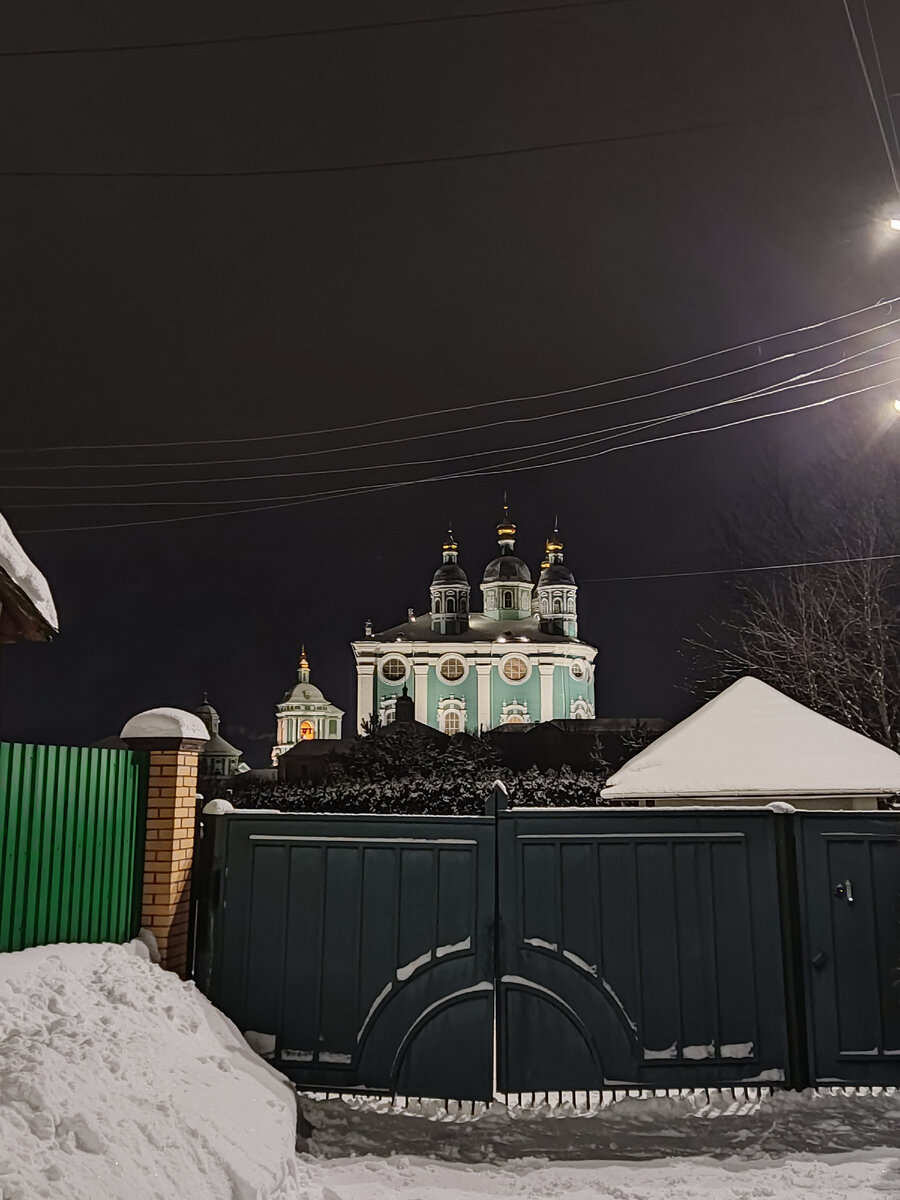 Вид на собор с частного сектора.