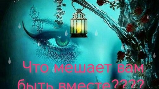 Почему вы, - не отпускаете друг друга?????