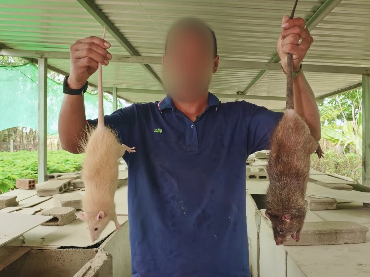 Фото: youtube.com