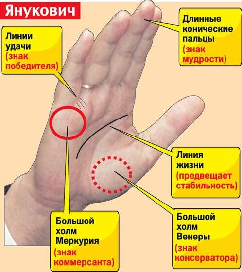 Линия удачи на руке фото с расшифровкой