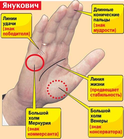 Линия богатства на руке — фото с расшифровкой и …