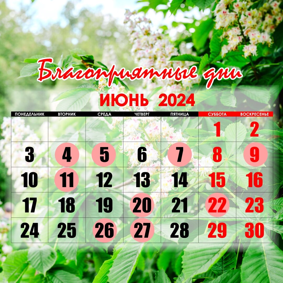 Хорошие дни отмечены розовым  кружком