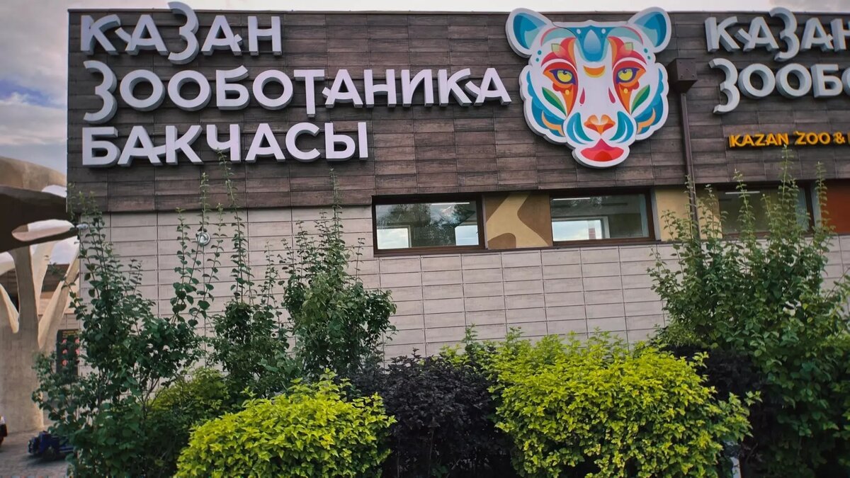     Источник: inkazan.ru