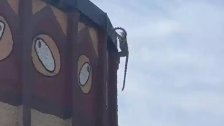     Источник: В Татарстане поймут