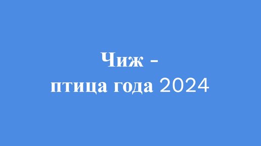 Сравним пение чиж и чибис #птицы #чиж #чибис #птицагода #птица2024 #пениечижа #пениечибиса #голосаптиц #орнитология #определительпоголосам