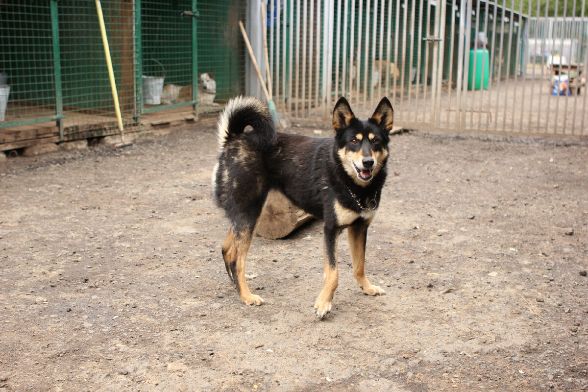 Я Мэй. меня очень красиво назвали, а есть от этого толк?