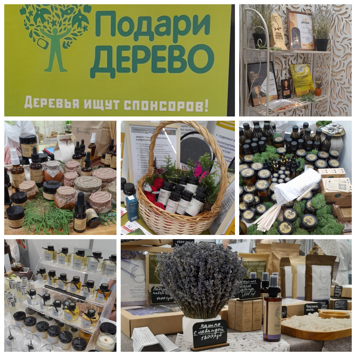 ЭкоГородЭкспо 2024, экоблог Ксении Нефедовой