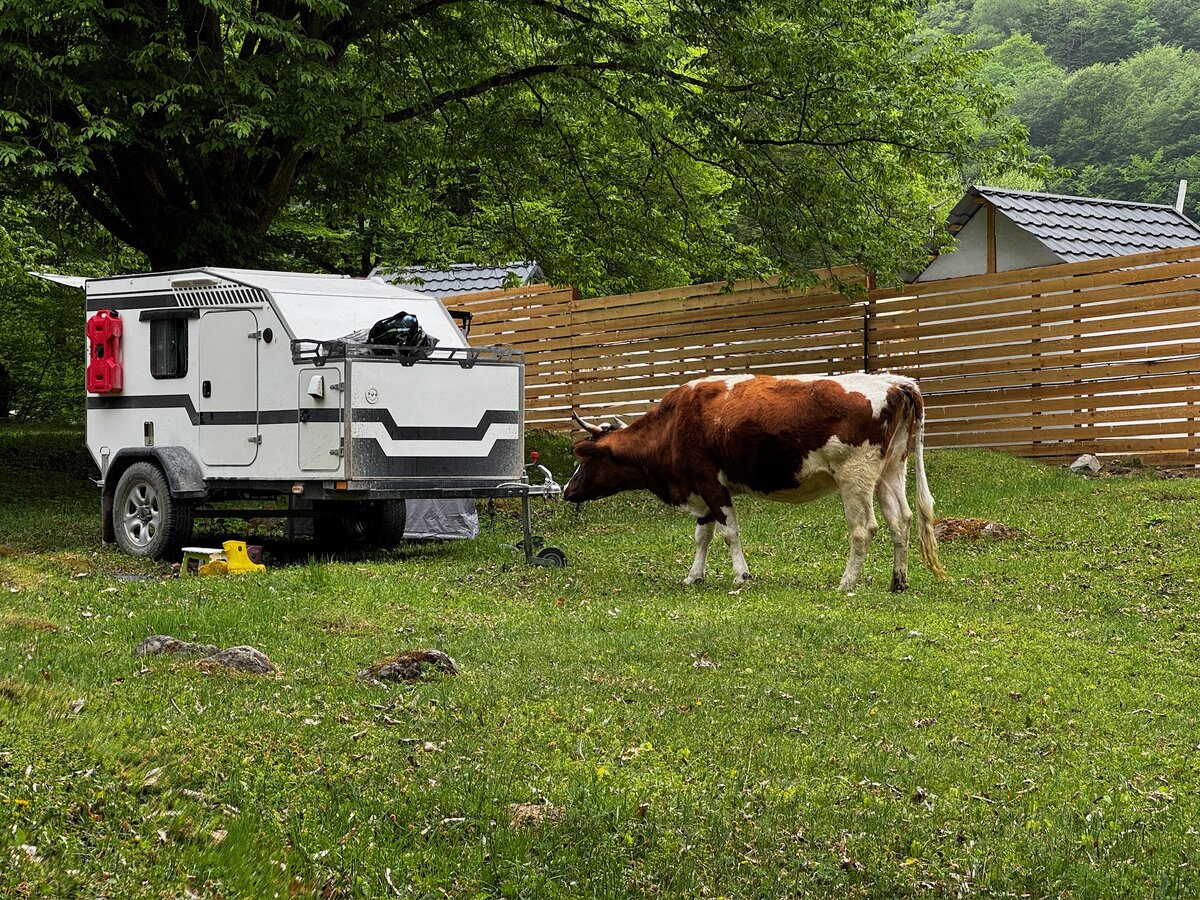 Какой вкусный фаркоп