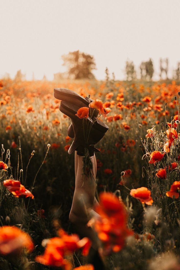 Фото из «Pinterest»