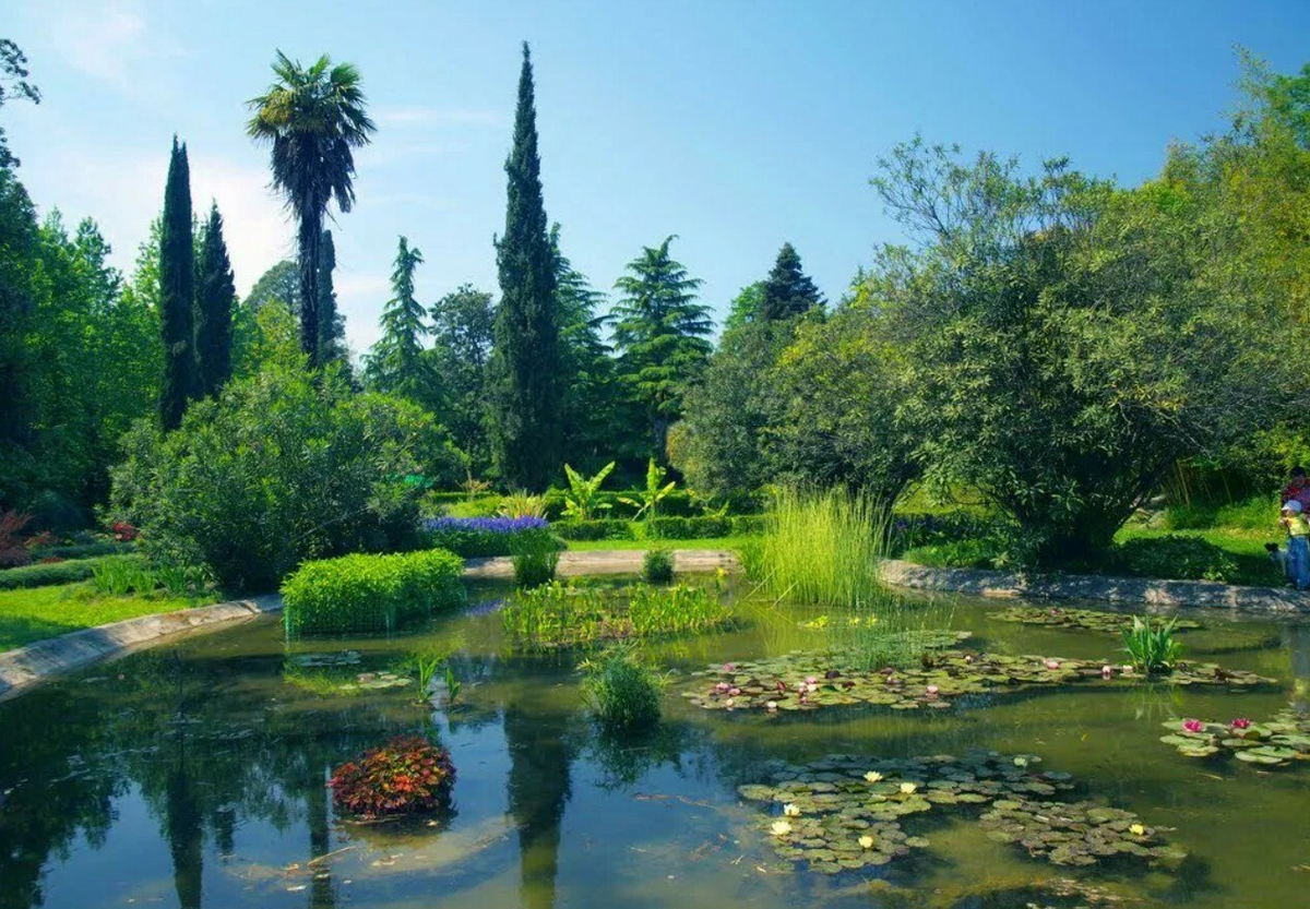 Парк "Южные культуры". Фото из открытых источников Яндекс.Картинки