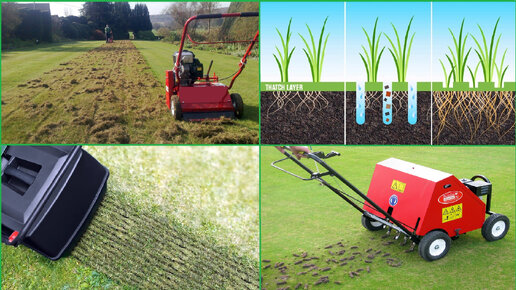 Аэратор скарификатор вертикуттер что это зачем и почему он нужен для шикарного газона