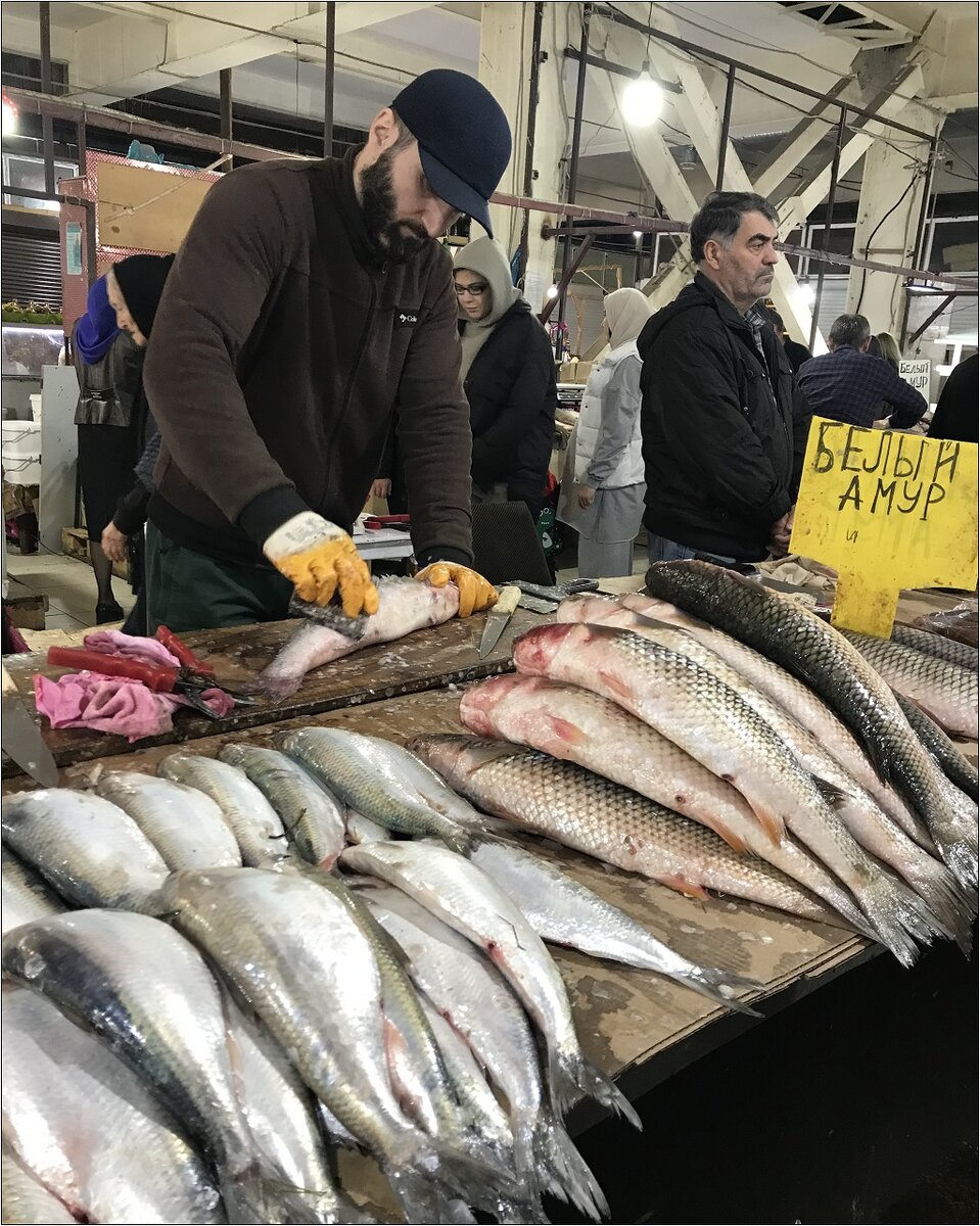    В Дагестан за рыбой и приключениями