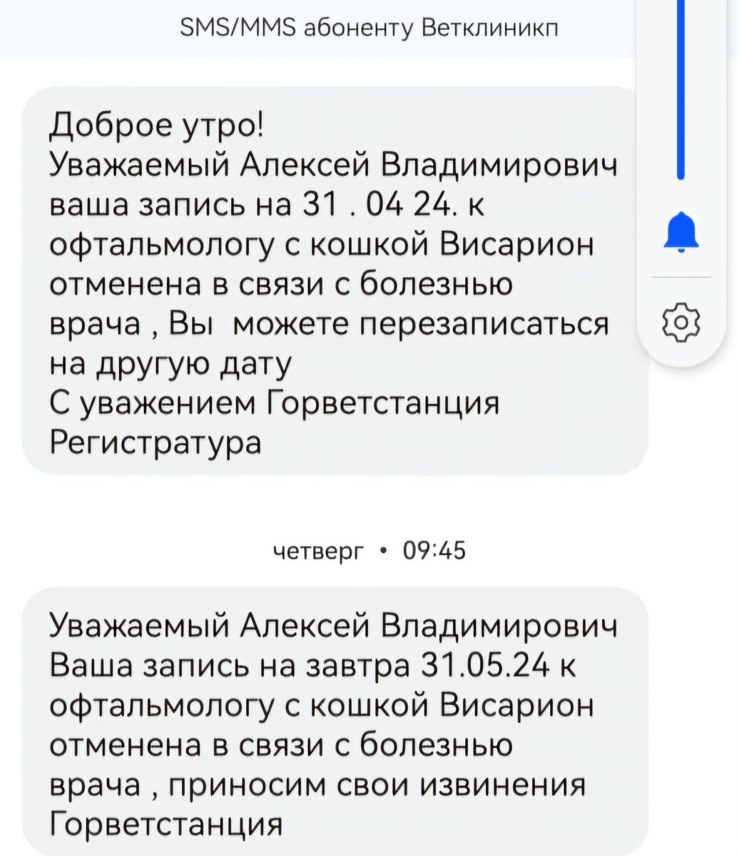 Сообщение из ветклиники.