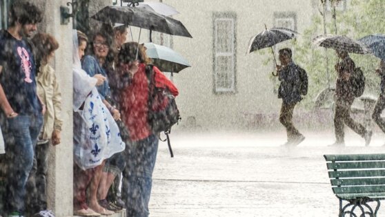    В Москве на следующей неделе может выпасть до 65% от июньской нормы осадков Ирина Петрова